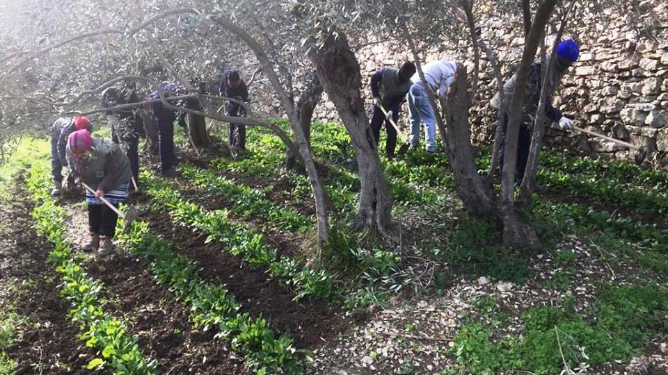 progetto-terra-madre-al-lavoro